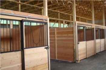 Inside our new horse stables/horse boarding