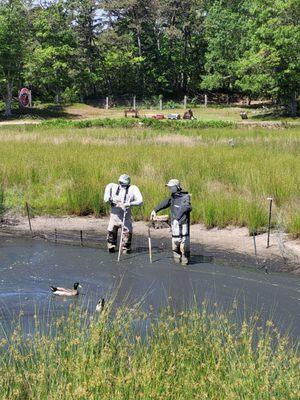 Bog mannequins