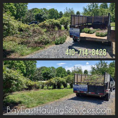 Before & After Brush Removal in Stevensville, MD 21666