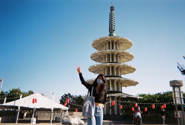 Fuji disposable