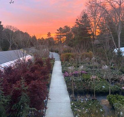 Sunrise at Beacon Gardens