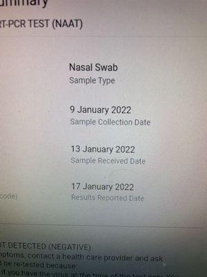 Sample processing timeline