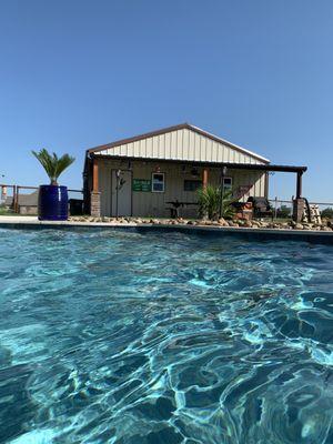 Crystal clear water with the help of Pool Aid.  Unlike other pool companies, they don't push unneeded chemicals.