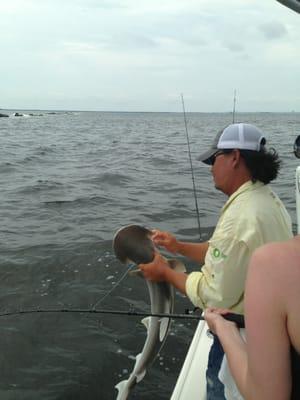 Jeremy with a nice bonnet head shark