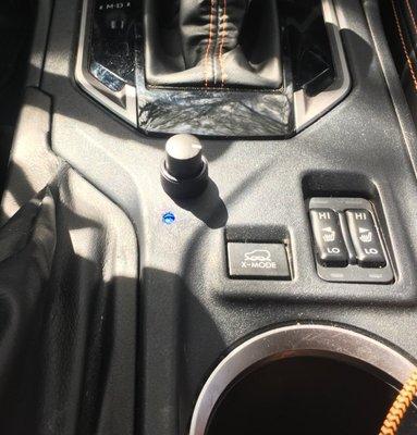 Inner knob - bass presence.  Outer dial- cabin speaker fader. LED - spatial image location indicator (blue=driver seat)