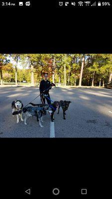 Always in the Festive Spirit. Dog walking on Halloween.