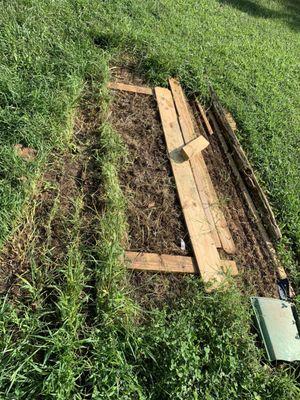 The damage to the grass in the front yard because he left the wood there for over a month and a half.