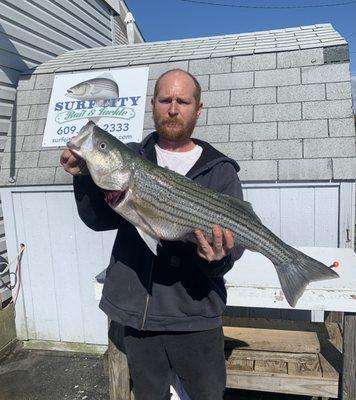 Striped Bass!