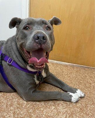 Waiting for my vet visit