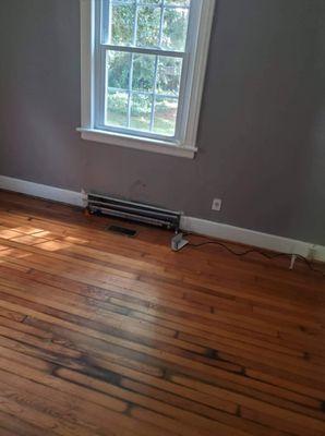 Another one, and a stained floor to match