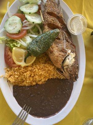 All fish with salad beans and rice