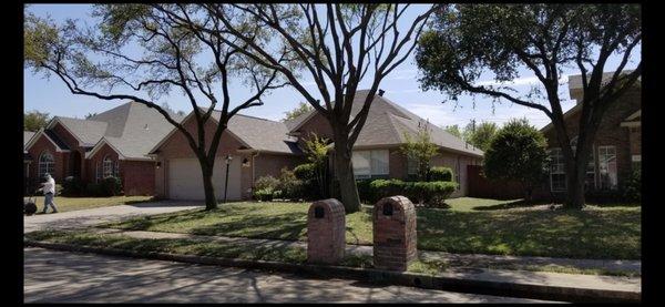 Tree's Trimmed, Yard Leveled, New St Augustine, Flower Beds Cleaned out, Gutters Cleaned, & 110 ft of French drain installed.