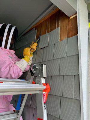 Yellow Jacket Removal Under Siding