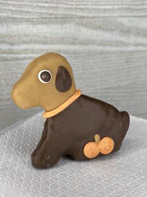 Pumpkin dog cookie