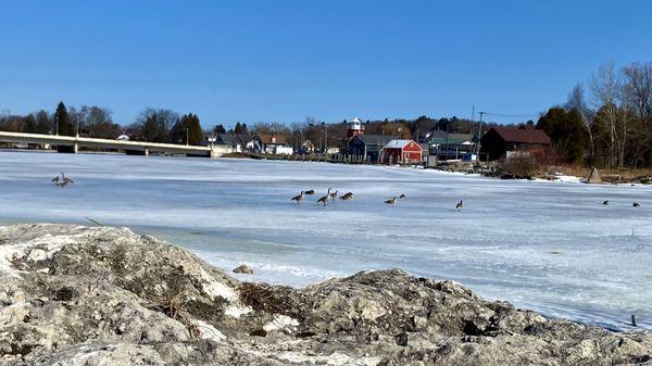 View from across East Twin River