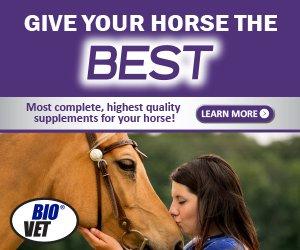 https://shop.bio-vet.com/equine-c22.aspx