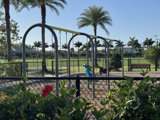 2 baby swings, 1 adaptive swing, 2 regular swings, need shade and more swings.