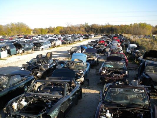 Many vehicles in stock and lots of Miata's