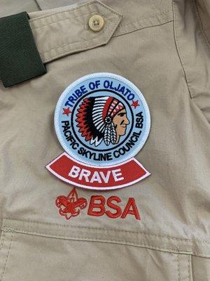 Scout badges