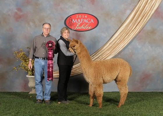 Owners at a show.