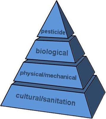 IPM Pyramid