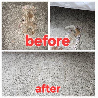 AAA Carpet Repair & Installation Service & Sales