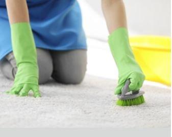 Wallace Cleaning Company Deep Carpet Cleaning