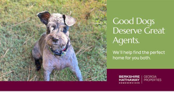 Kasia Williams - Berkshire Hathaway Home Services