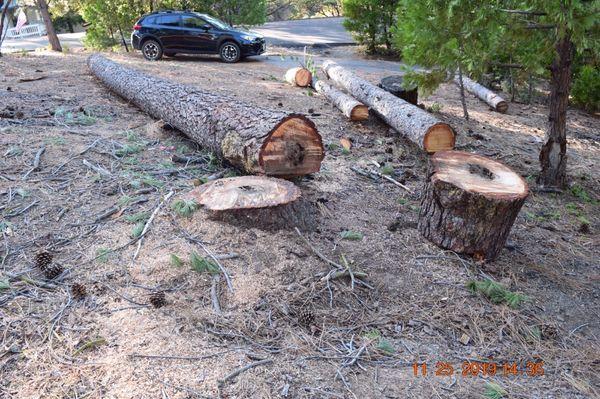 They thought it was ok to leave my yard like this. Find a different company.