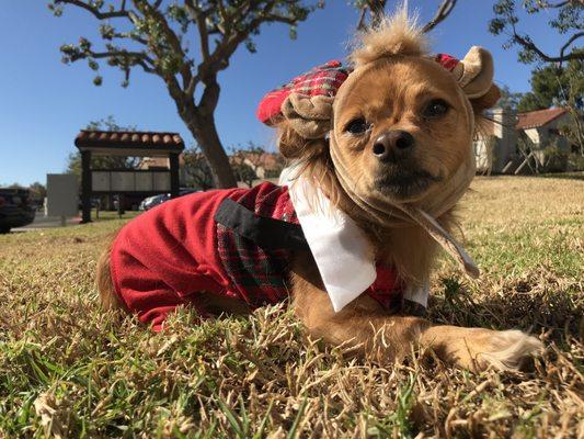 Pumpkin has very special needs and the care she receives at mission park is unbeatable.