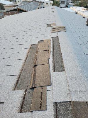 3 year old roof