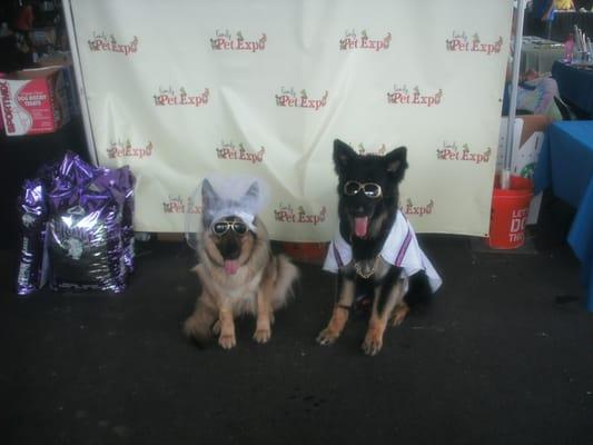 Blue Boy and Sky as Elvis and Priscilla Presley