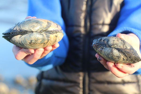 Clamming next to the RV Park