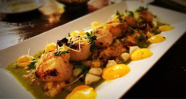 SEA SCALLOP RISOTTO ! So good.