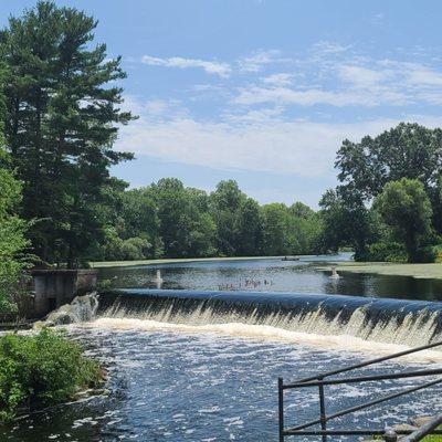 Short walk to peaceful water fall near Charles River Coffee House