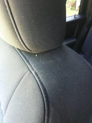 Previous renter's passenger side dandruff