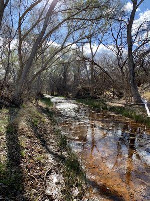 Love it...creek