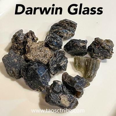 Darwin Glass