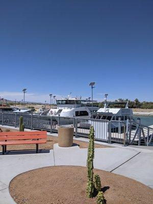 Havasu Landing Resort & Casino