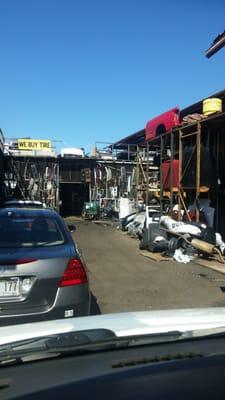 Your one stop junkyard.... They got it all