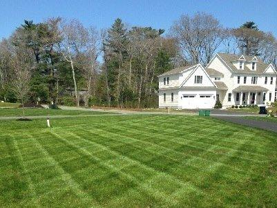 Lawn, Marshfield Massachusetts, Landscaping By J. Michael