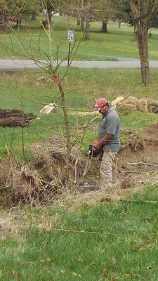 Standing in the creek bed cutting the small tree sprouts