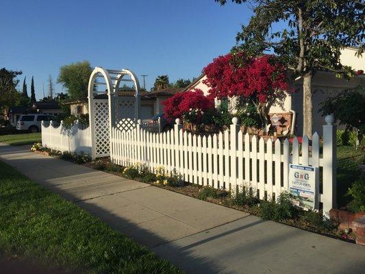 Scalloped Picket Fencing and Arbor