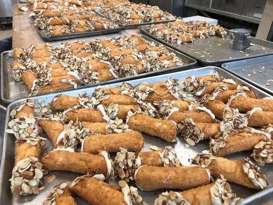 The best cannoli in Michigan