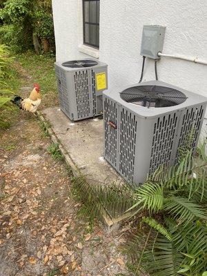 RunTru Heat Pumps