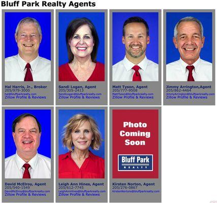 Bluff Park Realty