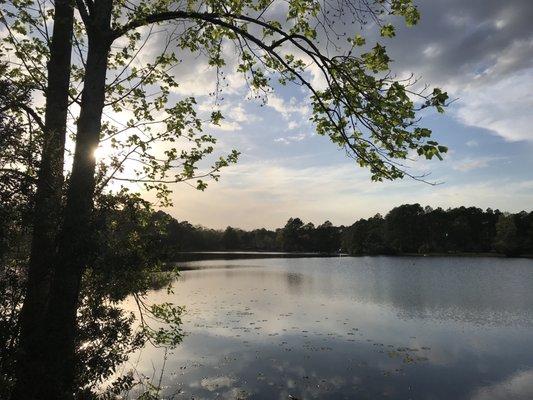 Blackshear, GA at sunset-