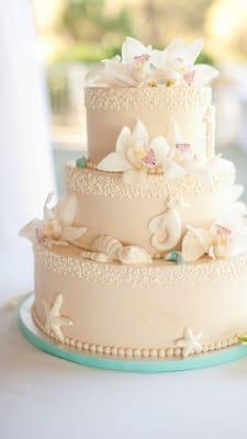 looking for a cake like this