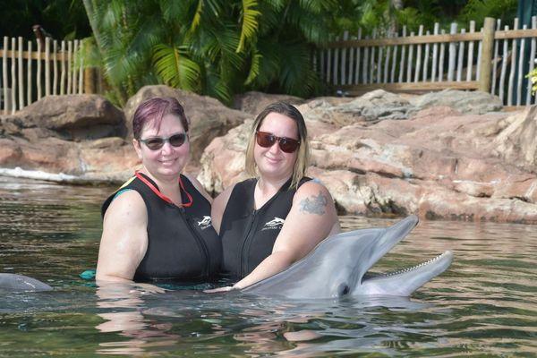 Dolphin experience!