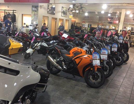 Honda and Harley's are plentiful